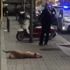 Olay yaratan görüntü: Polis evsiz genci darp etti, köpeğini vurdu Olay yaratan görüntü: Polis evsiz genci darp etti, köpeğini vurdu