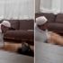"Cinci hoca" hakkında karar "Cinci hoca" hakkında karar
