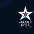 Anadolu Efes geleceğin yıldızlarını arıyor...