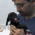Vicdansızlar yavru köpeği bu hale getirdi