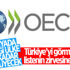 OECD Türkiye'nin büyüme tahminini yüzde 5,7'den yüzde 8,4'e çıkardı