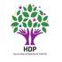 ABD’nin yaptırımlarına karşı ortak bildiriyi imzalamayan HDP’den açıklama ABD’nin yaptırımlarına karşı ortak bildiriyi imzalamayan HDP’den açıklama