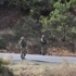 Tunceli'de askeri araca bombalı saldırı: 2'si ağır 4 asker yaralı