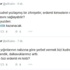 Elif Çakır'ın hesabından akılalmaz 'Kabataş' tweet'leri