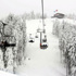 Ilgaz'daki kayak merkezi lodostan etkilenmedi Ilgaz'daki kayak merkezi lodostan etkilenmedi