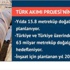Putin Türk Akımı'na neden son vermedi?
