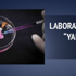 Laboratuvarda "yapay ayak" yapıldı