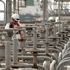 Petrol ithalatı mayısta yüzde 12 azaldı