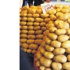 Patates 2.5 TL’nin altına inmezse ithalat başlıyor