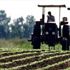 Tarım ve Orman Bakanı Bekir Pakdemirli: Türkiye tarımsal hasılada Avrupa birincisi