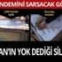 HDP ile HÜDAPAR'lılar arasında silahlı kavga: İki kişi ölü