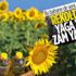Ayçiçek yağına rekolte zammı