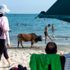 Hong Kong da korona virüse rağmen halk, plajlara akın ...