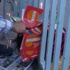 Mahalleli 3 yaşındaki kızın çığlıklarına koştu!