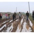 Köylülerin Çamurlu Yol Çilesi Köylülerin Çamurlu Yol Çilesi