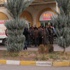 Mardin'de çatışma çıktı, 5 terörist öldürüldü