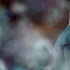 Bilic: "Futbol, 'zengin sporu' değil"