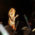 Kdz. Ereğli de Hadise ve Murat Boz rüzgarı