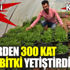 Şekerden 300 kat tatlı bitki yetiştirdi. Getirisi büyük. Kalorisi sıfır Şekerden 300 kat tatlı bitki yetiştirdi. Getirisi büyük. Kalorisi sıfır