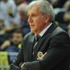 Obradovic çıldırdı! Obradovic çıldırdı!
