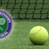Wimbledon'da eşleşmeler belli oldu