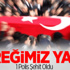 Yüreğimiz Yandı: 1 Polis Şehit