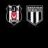 Beşiktaş'ın kampanyasına büyük katılım