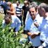 Türkiye nin en büyük yaban mersini bahçesinde hasat ... Türkiye nin en büyük yaban mersini bahçesinde hasat ...