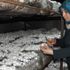 Hobi olarak başladı, iş sahibi oldu