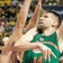 Teşekkürler Banvit