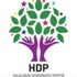 HDP'den çift eşli 3 aday adayına onay HDP'den çift eşli 3 aday adayına onay
