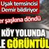 ﻿Görenler şaşkına döndü. Geyik köy yolunda böyle görüntülendi