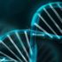 Araştırmacılar, mağara toprağından insan DNA’sı tespit edildiğini iddia etti