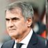 Şenol Güneş krizi Şenol Güneş krizi