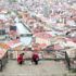 Bayburt ta sokak hayvanları için mama, yiyecek ve ... Bayburt ta sokak hayvanları için mama, yiyecek ve ...