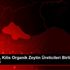 BM heyeti, Kilis Organik Zeytin Üreticileri Birliğini ... BM heyeti, Kilis Organik Zeytin Üreticileri Birliğini ...