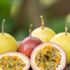 Çarkıfelek meyvesi nedir, nerede yetişir? Çarkıfelek meyvesinin faydaları nelerdir?