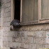 İstanbul'un göbeğinde şoke eden olay