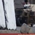 Sisi'den Suud Kralı'na ziyaret Sisi'den Suud Kralı'na ziyaret