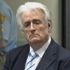 Karadzic'in danışmanına 11 yıl hapis cezası