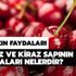 Kirazın faydaları nelerdir? Kirazın ve Kiraz sapının inanılmaz faydası