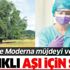 BioNTech ve Moderna Coronavirüs aşısını buldu! Ancak Quillaja Saponaria ağacı ve köpek balığı karaciğeri gerekli