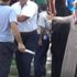 Otopark parası için görevliye saldırdılar Otopark parası için görevliye saldırdılar