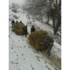 Çiftçilerin Karda Ot Taşıma Çilesi Çiftçilerin Karda Ot Taşıma Çilesi