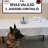 Sivas'ta 1 buçuk kilo kubar esrar ele geçirildi