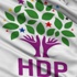 HDP MYK'dan Ardahan açıklaması
