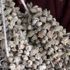 Kuru bamya gram altınla yarışıyor Kuru bamya gram altınla yarışıyor