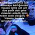 İş yerindeki hırsızlıkları ifşa ederek, esnafı uyardı