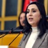 HDP'ye paralel sızıntı