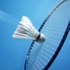 Badmintonda 2 bronz madalya